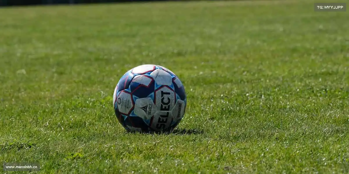 29岁大学生免费观看电视剧免费播放下入口👥 集结影视行业精英,以协作之力打造传世影像佳作